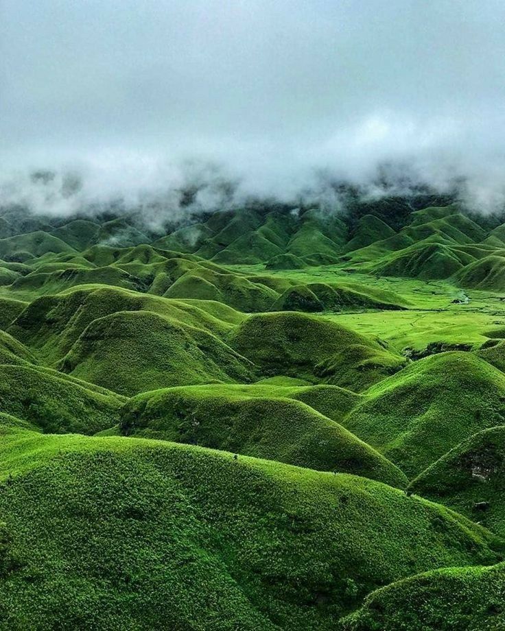 Northeast India Travel Photo